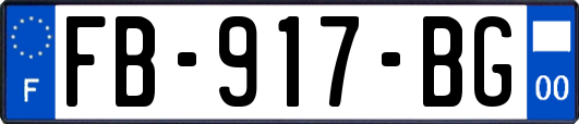 FB-917-BG