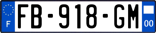 FB-918-GM