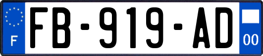 FB-919-AD