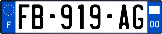 FB-919-AG