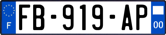 FB-919-AP