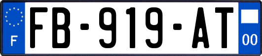 FB-919-AT