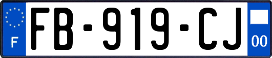 FB-919-CJ