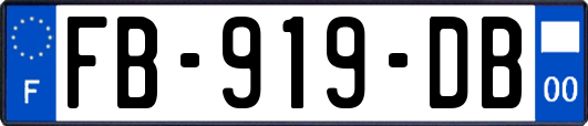 FB-919-DB