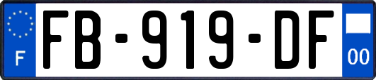 FB-919-DF