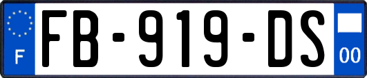 FB-919-DS