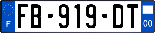 FB-919-DT