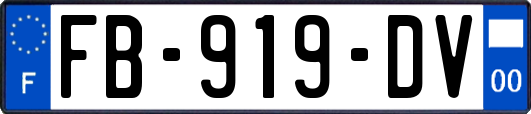 FB-919-DV