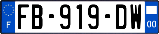 FB-919-DW