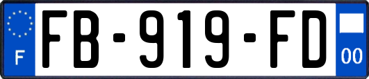 FB-919-FD