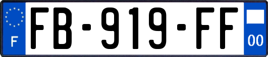 FB-919-FF