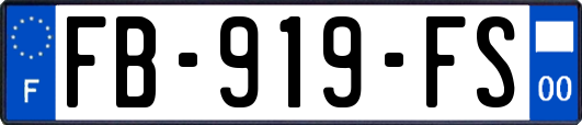 FB-919-FS