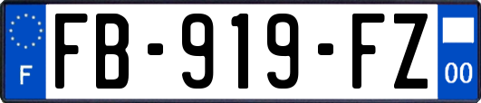 FB-919-FZ