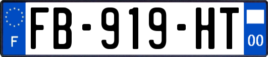 FB-919-HT