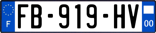 FB-919-HV