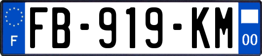 FB-919-KM