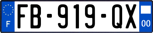 FB-919-QX