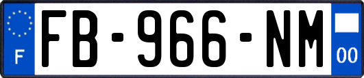 FB-966-NM