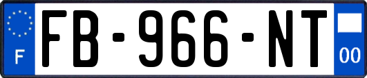 FB-966-NT