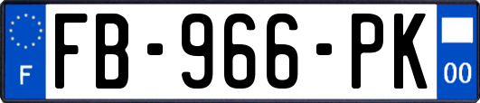 FB-966-PK