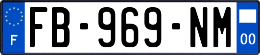 FB-969-NM