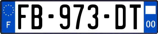 FB-973-DT