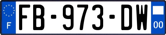 FB-973-DW