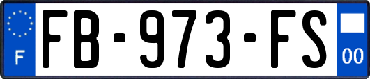 FB-973-FS