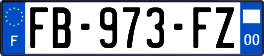 FB-973-FZ