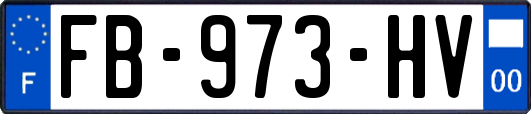 FB-973-HV