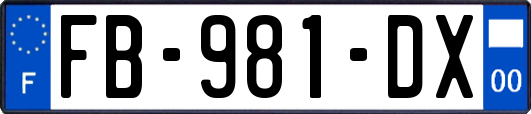 FB-981-DX