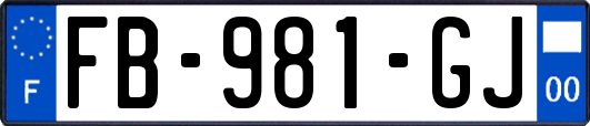 FB-981-GJ