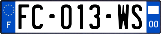 FC-013-WS