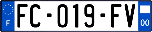 FC-019-FV