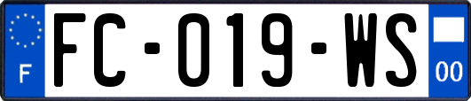 FC-019-WS