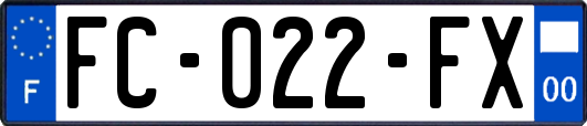 FC-022-FX