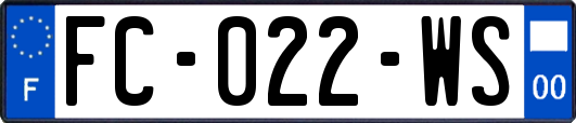FC-022-WS