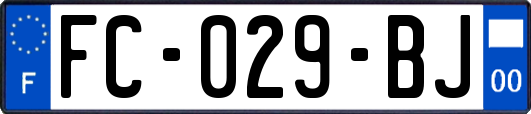 FC-029-BJ