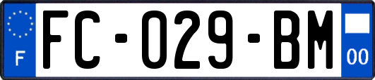 FC-029-BM