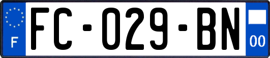 FC-029-BN