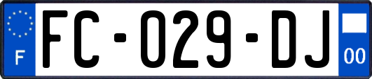 FC-029-DJ