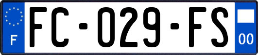 FC-029-FS
