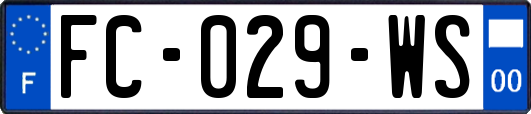 FC-029-WS
