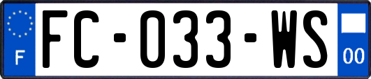 FC-033-WS