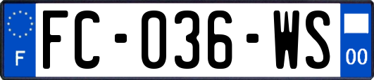 FC-036-WS
