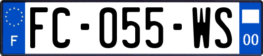 FC-055-WS