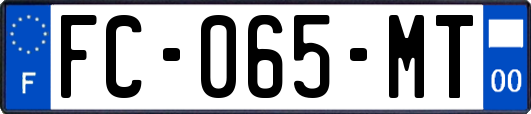FC-065-MT
