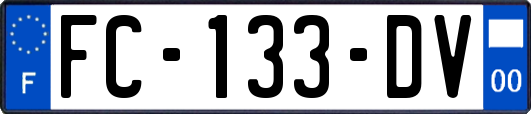 FC-133-DV