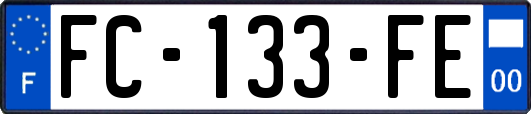 FC-133-FE