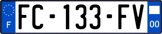 FC-133-FV